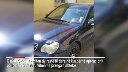 Report TV -Transportonin emigrantë të paligjshëm kundrejt fitimit, arrestohen 4 persona