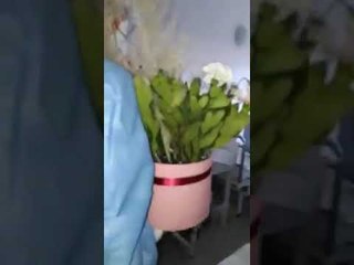 Report TV -I prekur nga Covid-19, dr.Ada surprizon të atin në 60-vjetorin e lindjes