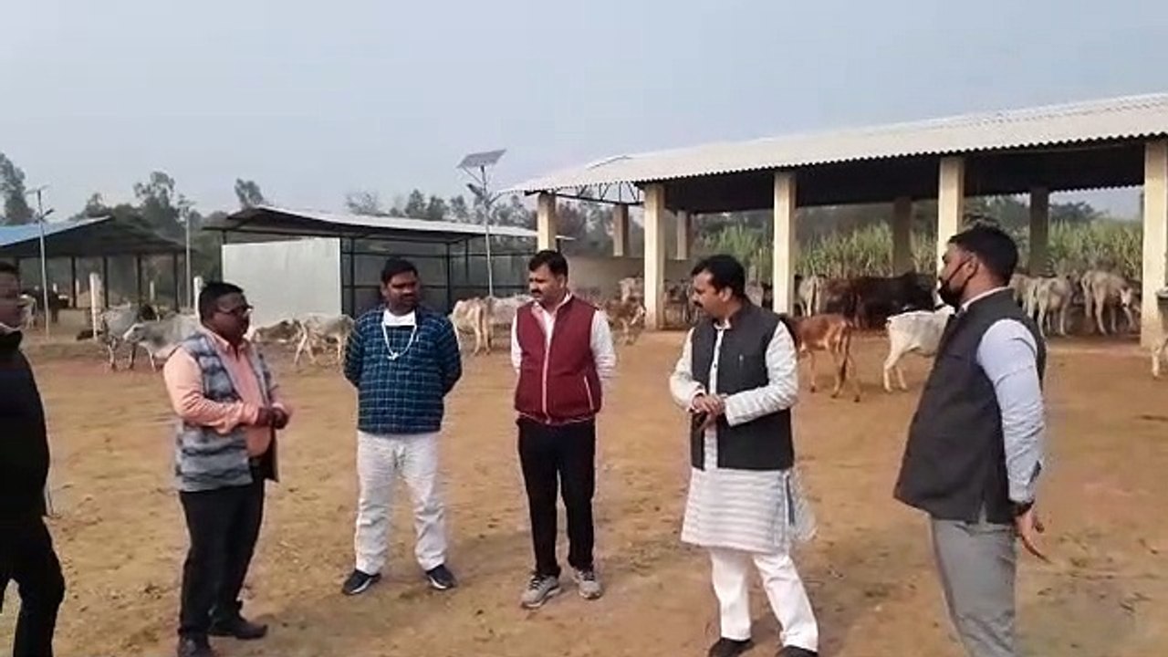 जिला पंचायत अध्यक्ष प्रतिनिधि ने गौशाला के पशुओं के रखरखाव की व्यवस्था देखी