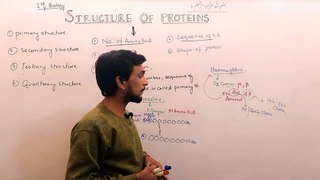 CLASS 1st YEAR BIOLOGY SHORT NEW SYLLABUS UNIT NO 2 STRUCTURE OF PROTEINS COMPLETE