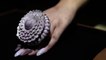Inde : une bague sertie de 12.638 diamants au Guinness mondial des records