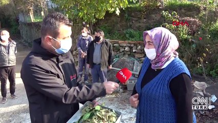 Bartın'ın köyünde hiç koronavirüs vakası görülmedi | Video