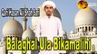 Balaghal Ula Bikamalihi  Qari Hasan Ali Shah Safi  Naat