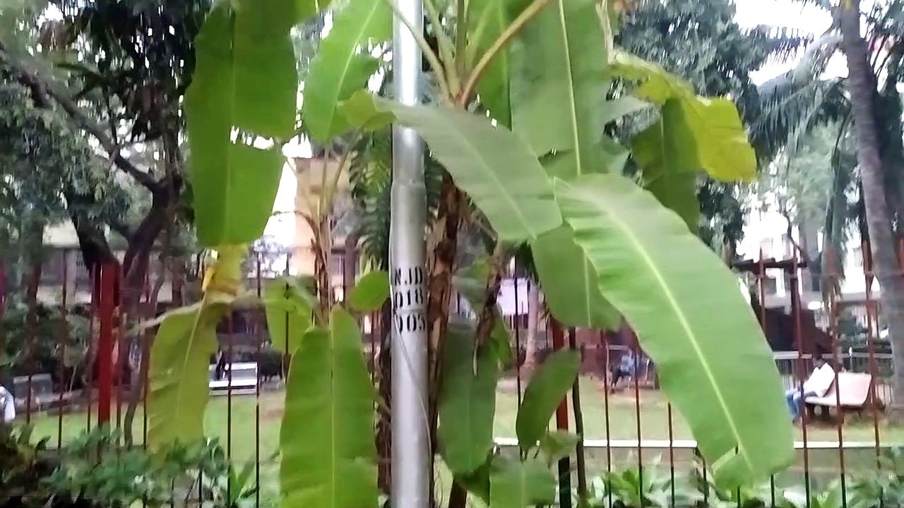 Nature is Nature