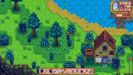 Stardew Valley: The hatshop