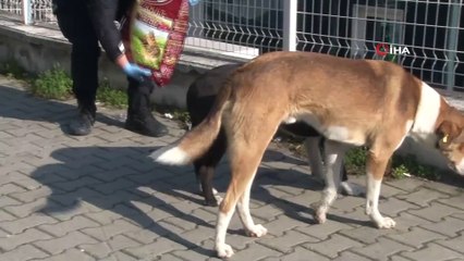 Esenyurt’ta kısıtlamada polisten örnek davranış iha