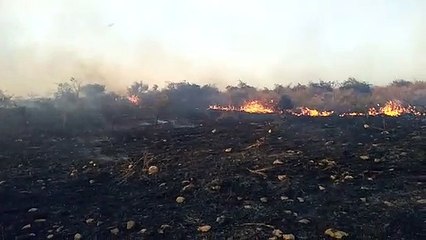 चैनापुरा की पहाडिय़ों पर लगी आग