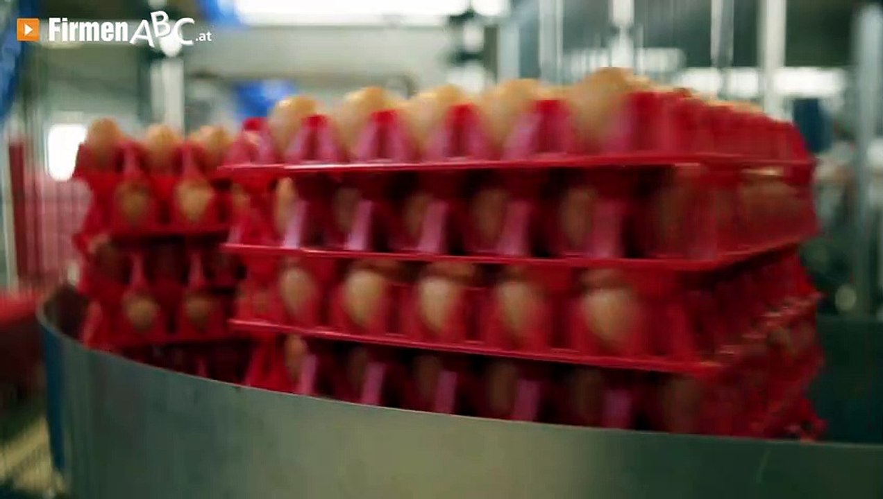 Schrall Ei GmbH – Ihr Partner für frische Bioeier aus Boden- und Freilandhaltung in Atzenbrugg