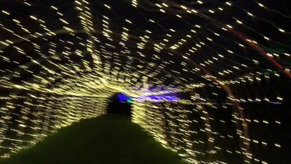 Warwick Castle's Christmas light trail