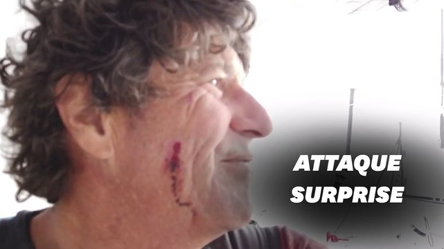 Vendée Globe: Jean Le Cam attaqué par un poisson volant