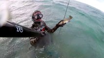 Spearfishing Ballan Wrasse / Zıpkınla Kikla Avı