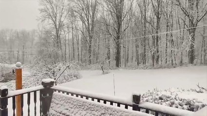 An early winter wonderland