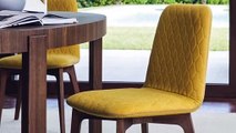 Modern Contemporary Dining Chairs