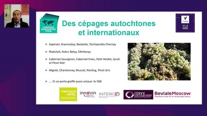 Pariez sur la Russie et sa filière vin en plein essor