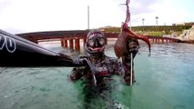 Spearfishing Octopus / zıpkınla Ahtapot Avı