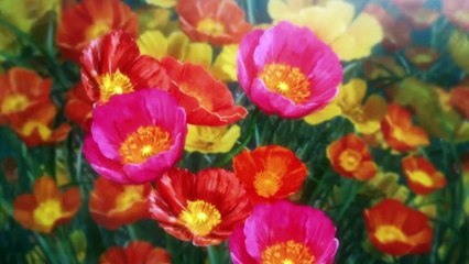 majo-no-tabitabi-amv-heroes-tonight