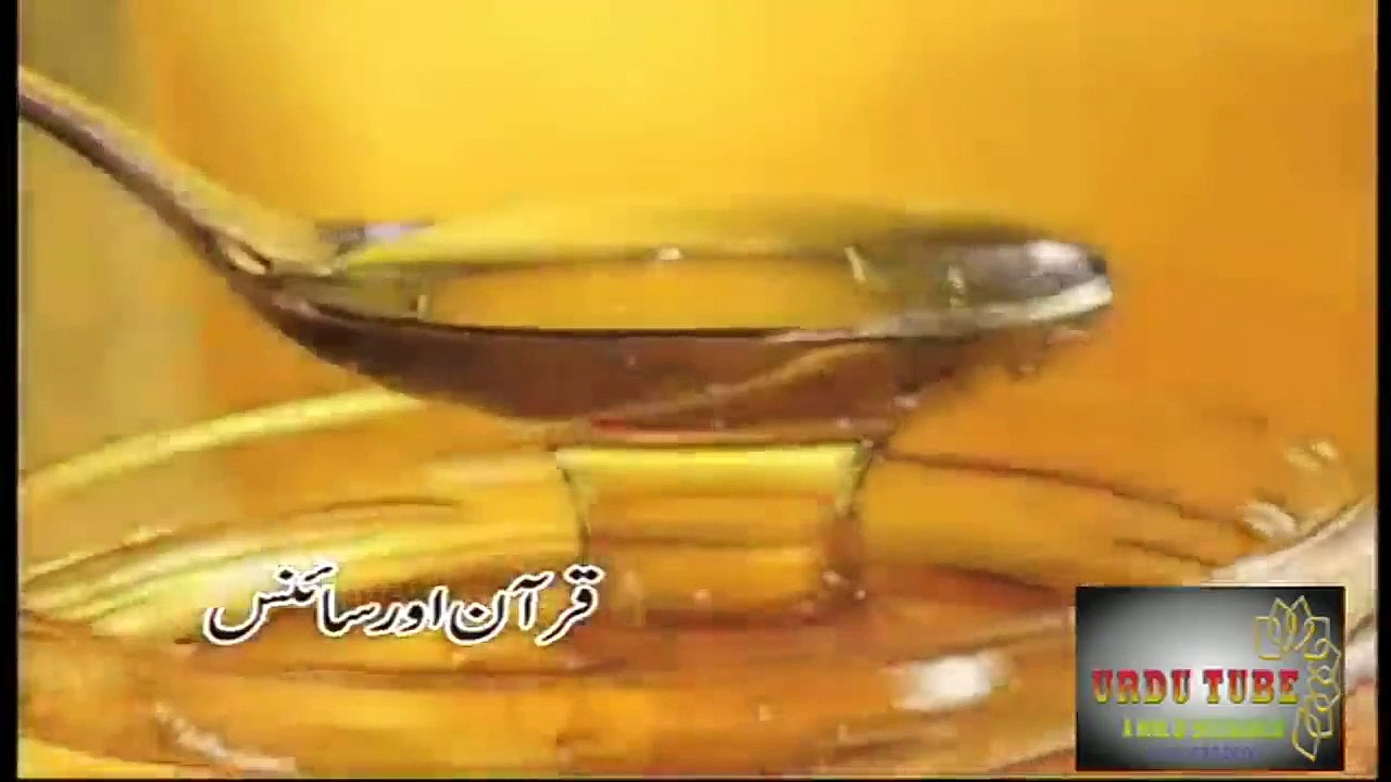 Quran & Science 7
