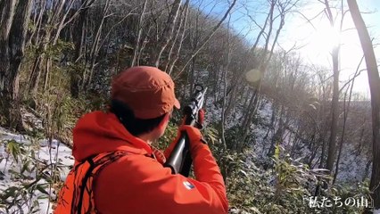 「東京ドキュメンタリー映画祭2020」