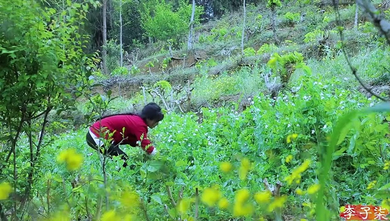 A vida das ervilhas
