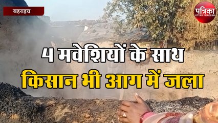 4 मवेशियों के साथ किसान भी आग में जला, यह है पूरा मामला
