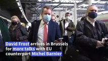 David Frost arrives in Brussels for new round of Brexit negotiations