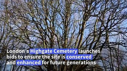 Highgate Cemetery seeks renovation amid climate challenges