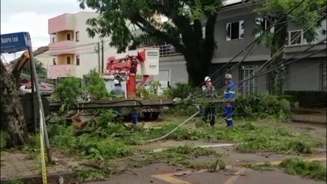 Vias no Bairro Maria Luiza são interditadas para corte de árvore e conexão da rede elétrica
