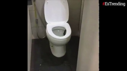El aterrador momento en que un hombre descubre a una serpiente saliendo del inodoro