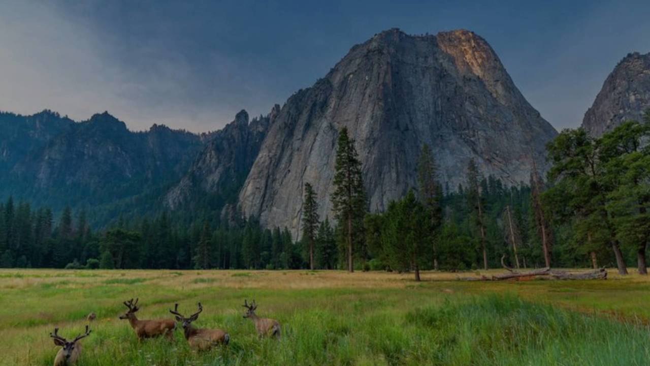 The Best Time to Visit Yosemite National Park