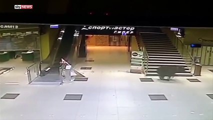 AVM'ye giren ayı ortalığı birbirine kattı