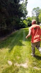 Men Save Fawn Stuck in Metal Fence