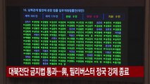 [YTN 실시간뉴스] 대북전단 금지법 통과...與, 필리버스터 정국 강제 종료 / YTN