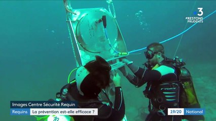 La Réunion : une pêche préventive pour lutter contre les attaques de requin