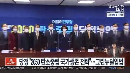 당정 "2050 탄소중립 국가생존 전략"…그린뉴딜입법