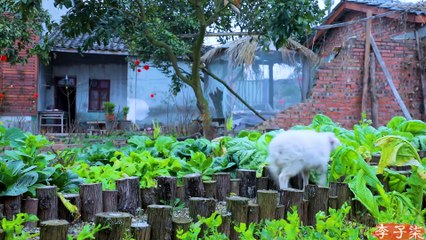 Cena familiar llena de felicidad, fortuna y bienestar el año que viene