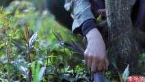 Cuando te perdiste el buen momento para cavar vegetales silvestres, también te perdiste esta primavera