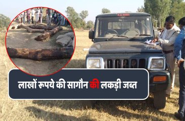 कुआं से पकड़ी गई 8 बोटा लकड़ी