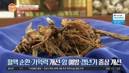 면역력 UP! 뼈 튼튼! 인삼 라테로 갱년기 건강 챙기기♥