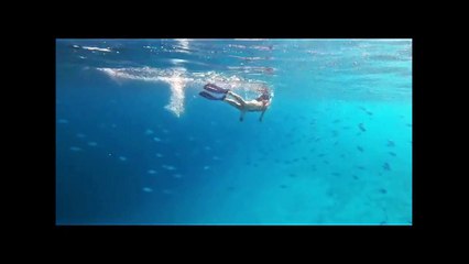 Disha Patani is swims like a mermaid among the fish inside sea