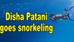 Disha Patani goes snorkeling in Maldives