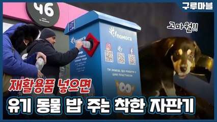 [구루마블] 플라스틱 빈 병 넣으면 유기 동물에게 사료 주는 기계 / YTN