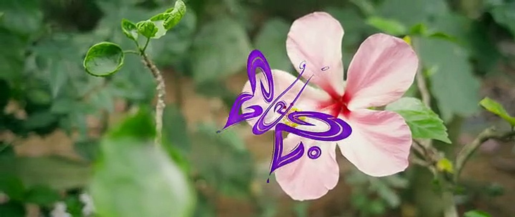 Premam Part 1