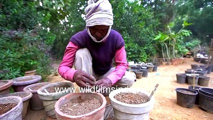 Gardening and flower seed planting at Wilderness Orchard - Timelapse of men at work