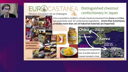 LIVE EXPOSANT (PAVILLON INTERNATIONAL - EUROCASTANEA) - Tour du monde de la châtaigne