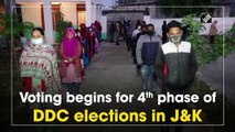Voting begins for 4th phase of DDC elections in J&K