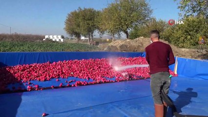 Hesap makinasını değil toprağı tercih etti