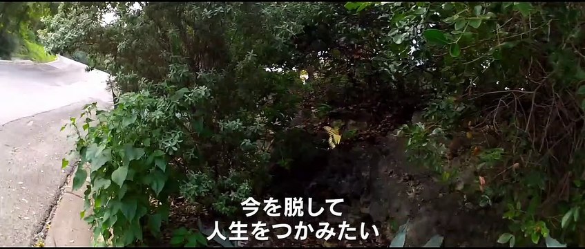 映画『ソング・トゥ・ソング』本編映像