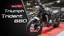ส่องรอบคัน All-New Triumph Trident 660 2021 ราคาเริ่มต้น 3.09 แสนบาท