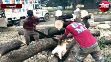 प्लाटिंग के लिए हरे पेड़ो पर चल रहा आरा, मन्त्री ने कहा होगी कार्यवाही