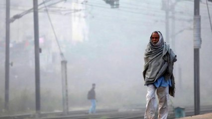 100 News: Thick fog blanket covers Delhi-NCR